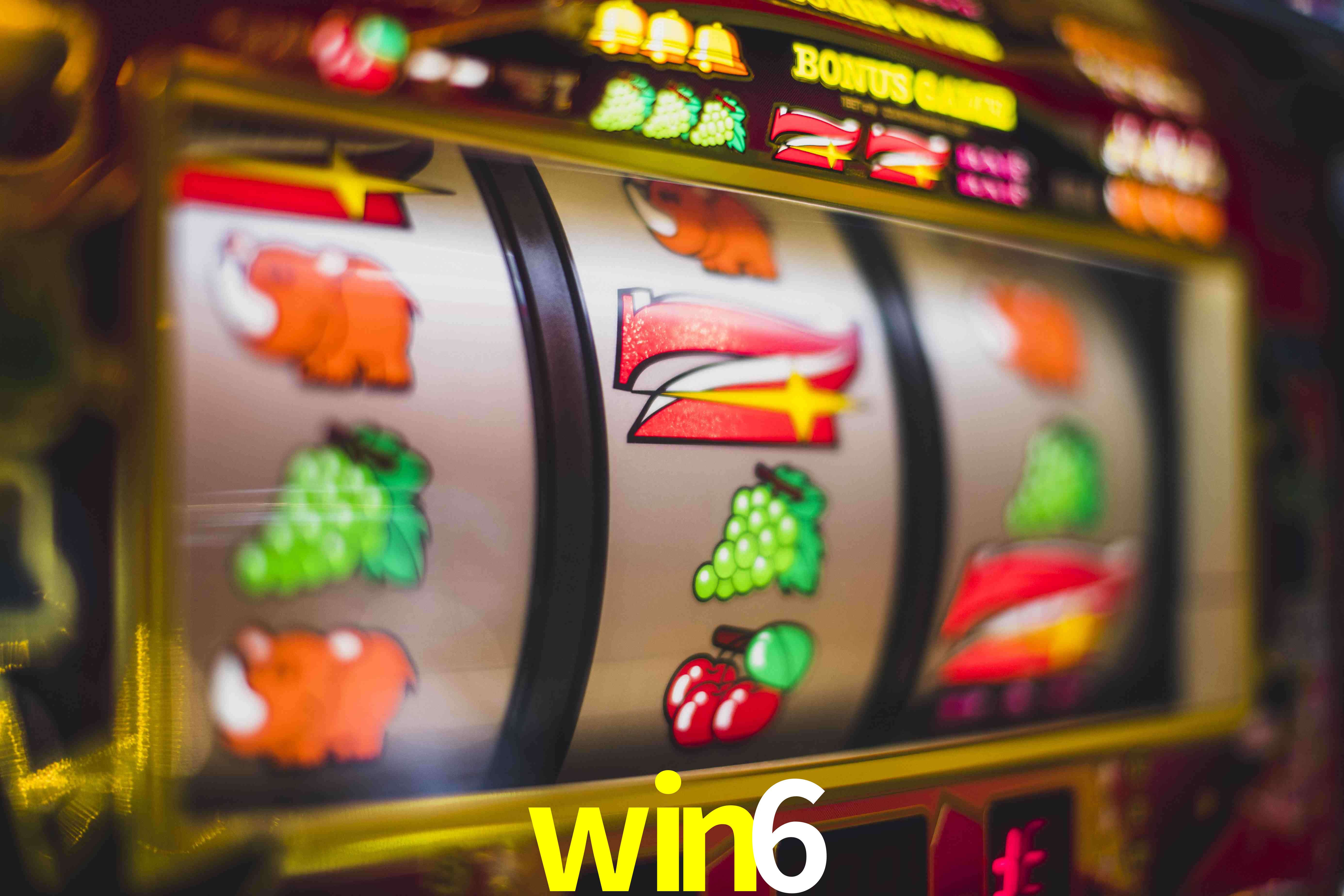 Basketball Betting win6